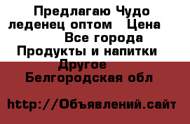 Предлагаю Чудо леденец оптом › Цена ­ 200 - Все города Продукты и напитки » Другое   . Белгородская обл.